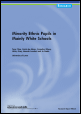 Research report looking at the issues that affect isolated minority ethnic pupils (DfES,  2002)