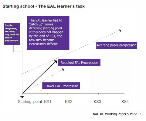 The EAL learner's task
